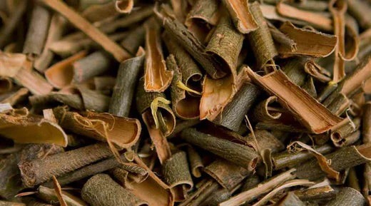 Salix alba